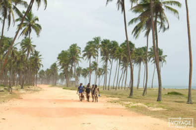 Voyage au Bénin dans le sud 